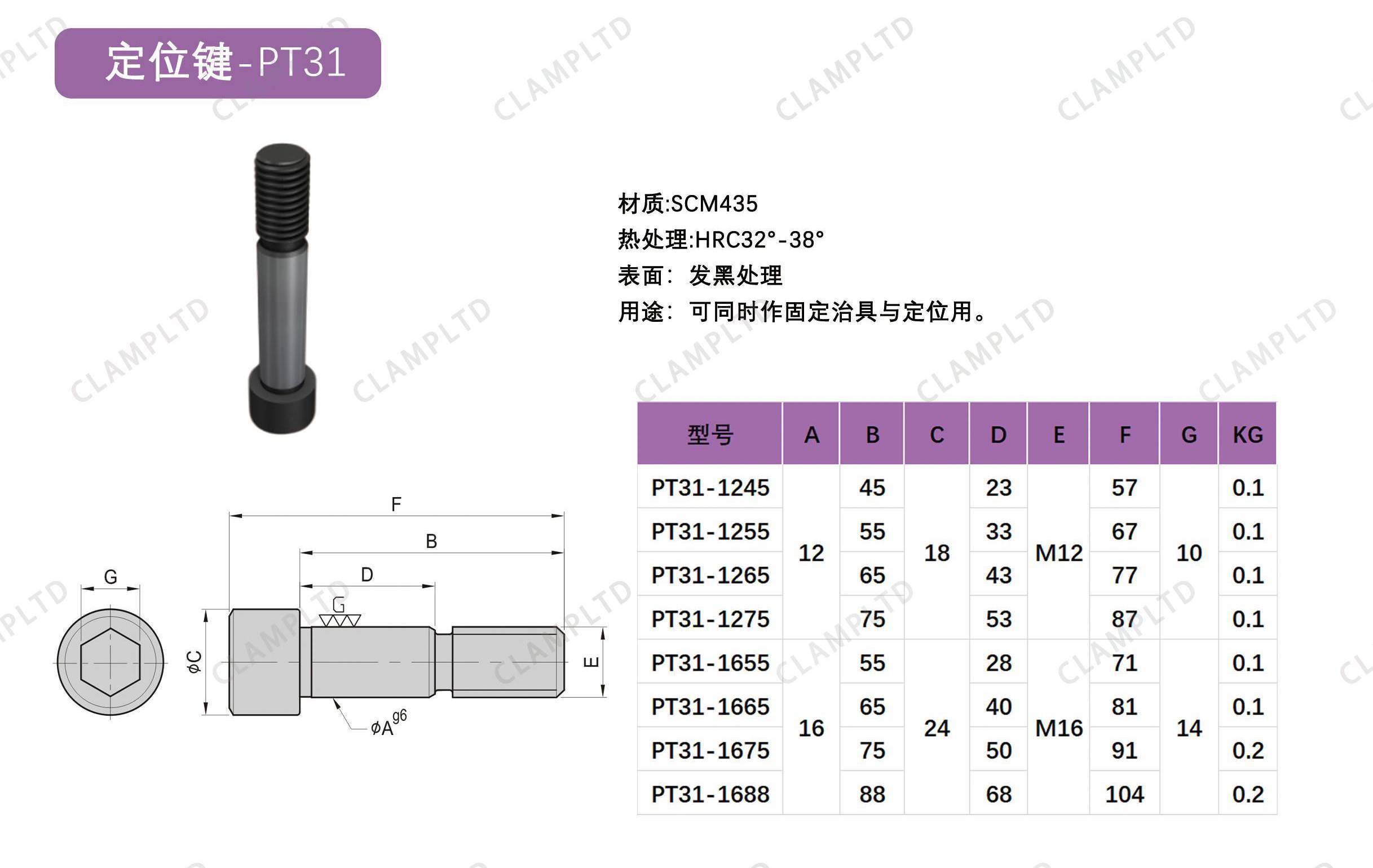 定位螺栓  PT31 第1张 定位螺栓   PT31 夹具标准件
